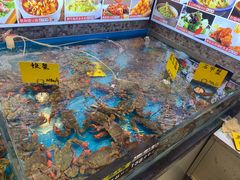 -俏东方·海味水饺·青岛菜(崂山店)