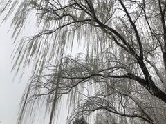 -悦真雅院·四合院·清真私房菜(雍和宫店)