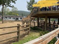 -大连森林动物园