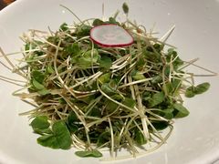 油醋汁炝荞麦苗-张生记(丁香国际店)