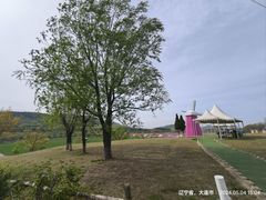 -大连铭湖国际观光牧场