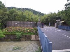 -都江堰中华大熊猫苑