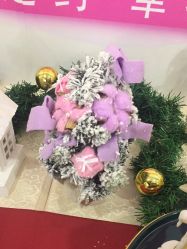 -宝生月子中心·独栋独院式(南山店)