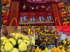 -越秀西湖花市(广州城市广场花卉店)