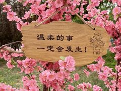 -北京凤凰岭