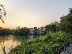 -新荣记(西溪湿地店)