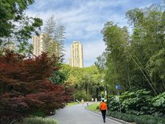 -苏州河梦清园环保主题公园