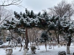 -伪满皇宫博物院