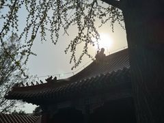 -戏马台景区
