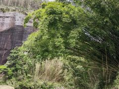 -九曲溪竹筏码头