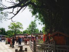 -大槐树寻根祭祖园
