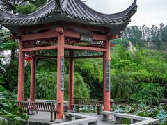 -广州神农草堂中医药博物馆