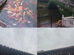 -梅园