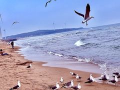 -那香海钻石沙滩浴场