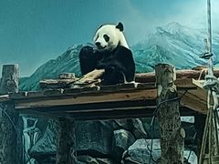 -武汉动物园