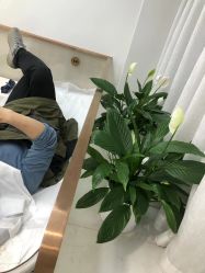 -悟空祛痘·诺奖技术专业店