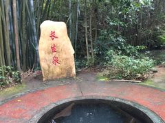 -大屏嶂森林公园