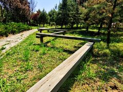 -青龙湖公园