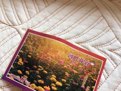 -天津武清北运河郊野公园房车露营地