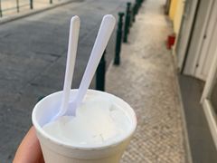 -洪馨椰子