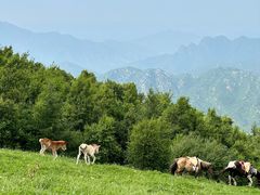 -灵山
