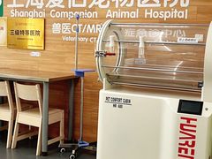 -爱侣宠医·鹦鹉专科·小型哺乳类·异宠专科(灵石路店)