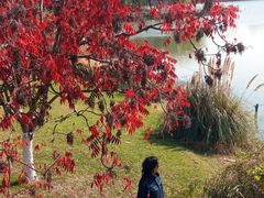 -昆山城市生态森林公园