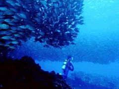 -北马里亚纳群岛博物馆