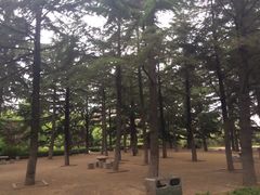 -莱西月湖公园