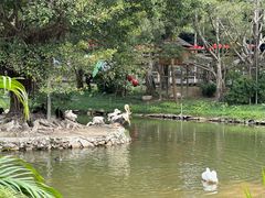 -深圳野生动物园