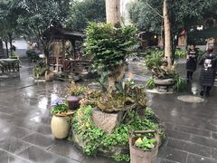 -青城甲(青城山店)