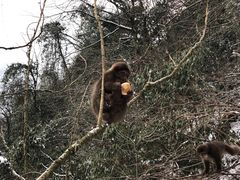 -九峰山