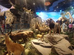 -陕西自然博物馆