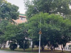 -武汉大学图书馆·文理学部总馆