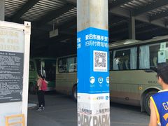 -上海植物园·停车场