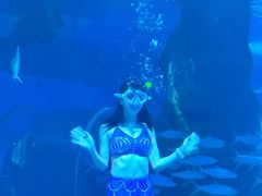 -北戴河圣蓝海洋公园