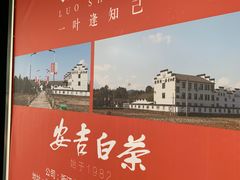 -正源安吉白茶特产享购商场(安吉店)