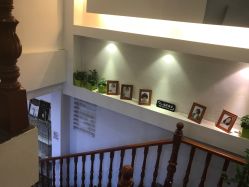 -YESIDO椰岛造型烫发染发