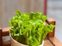 -老北京涮羊肉(航东路店)