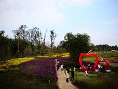 -三圣花乡旅游区