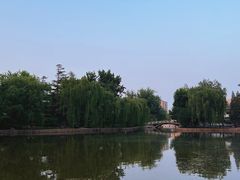 -团结湖公园