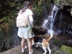 -藏龙百瀑风景区