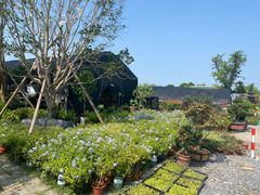 -龙大花卉苗木市场