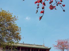 -广州中山纪念堂