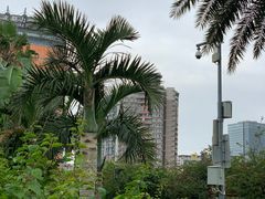 -珠海拱北口岸