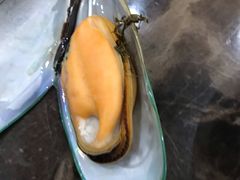 -蚝专家(北滘店)
