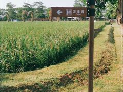 -迪茵湖田家舍生态农场