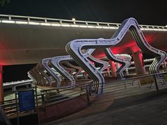 -演武大桥观景平台