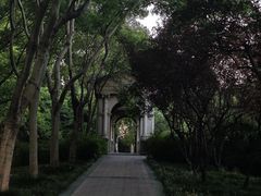 -蠡湖中央公园