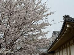 -醍醐寺